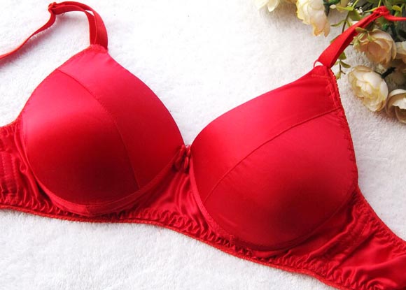 Underwear Bras factory